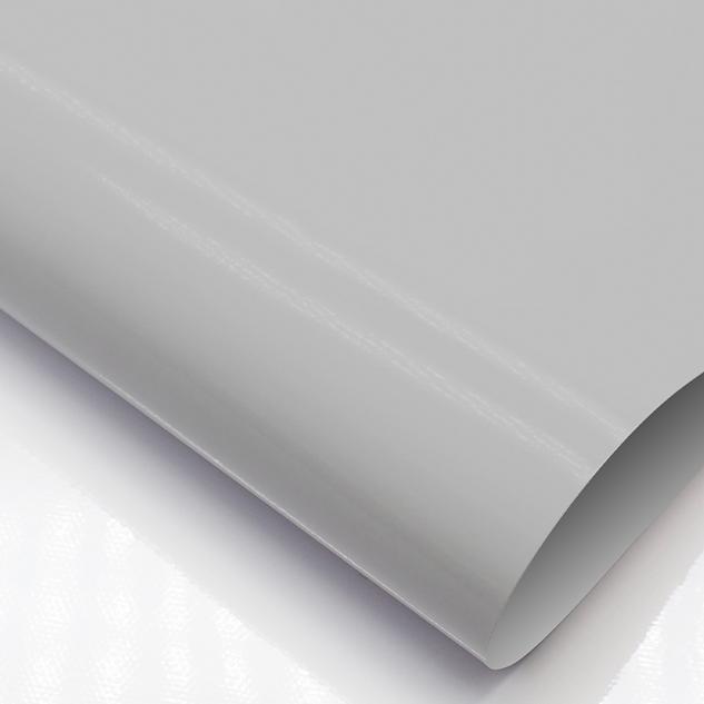 მონაცრისფრო თეთრი